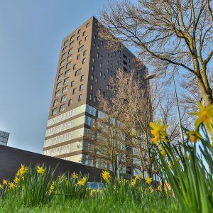 Siersteenlaan 9743 ES Groningen