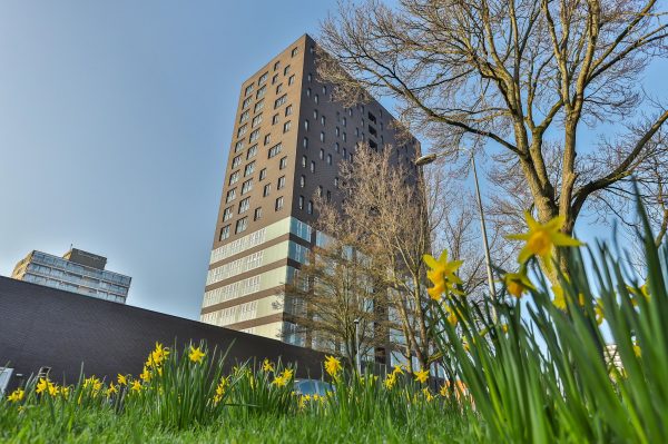 Siersteenlaan 9743 ES Groningen
